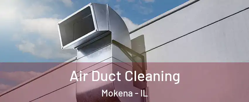  Air Duct Cleaning Mokena - IL