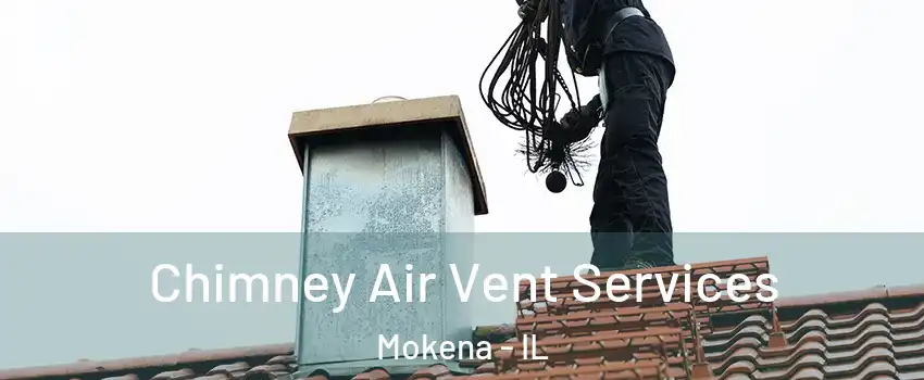  Chimney Air Vent Services Mokena - IL