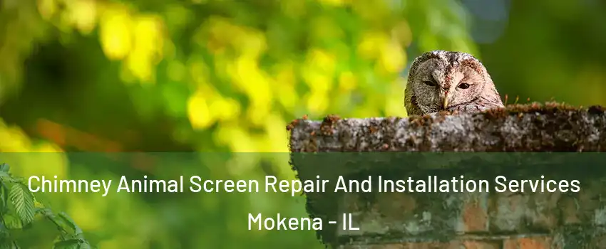  Chimney Animal Screen Repair And Installation Services Mokena - IL