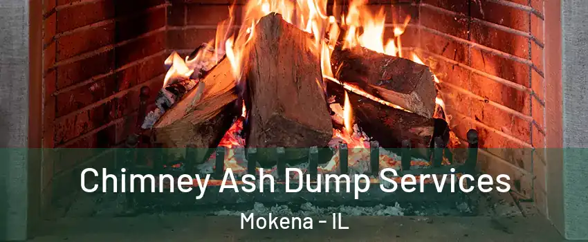  Chimney Ash Dump Services Mokena - IL