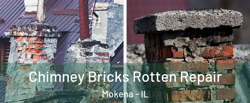  Chimney Bricks Rotten Repair Mokena - IL