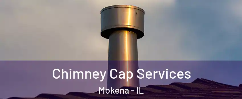  Chimney Cap Services Mokena - IL