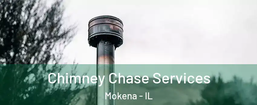  Chimney Chase Services Mokena - IL