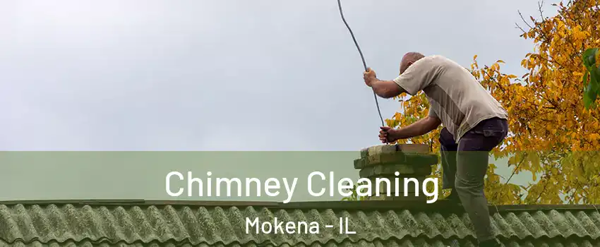  Chimney Cleaning Mokena - IL