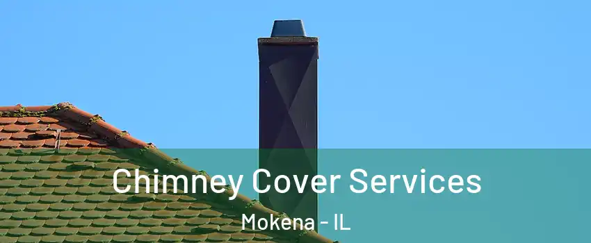  Chimney Cover Services Mokena - IL
