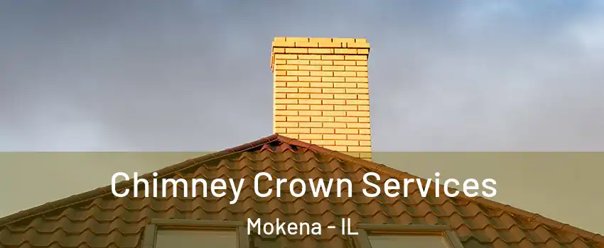  Chimney Crown Services Mokena - IL