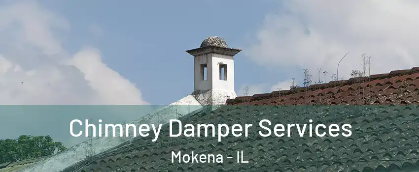  Chimney Damper Services Mokena - IL