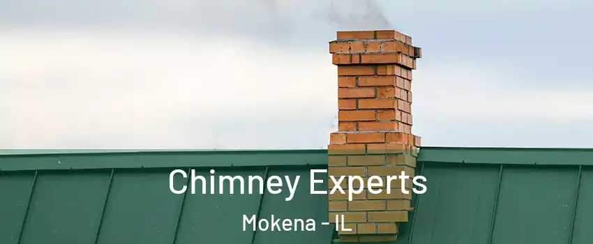  Chimney Experts Mokena - IL