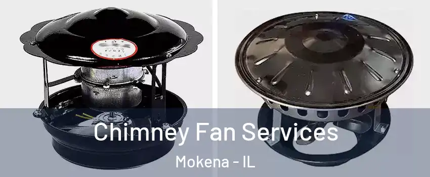  Chimney Fan Services Mokena - IL