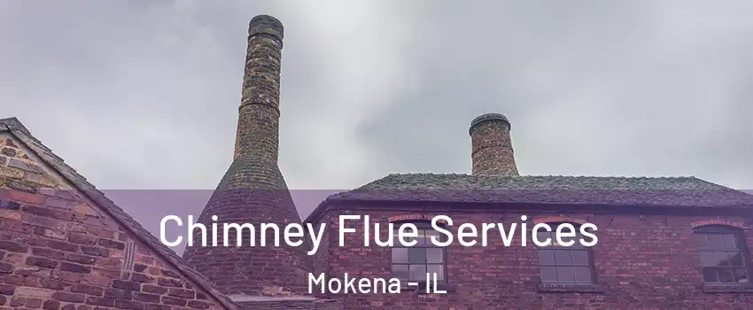  Chimney Flue Services Mokena - IL