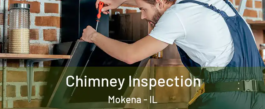  Chimney Inspection Mokena - IL