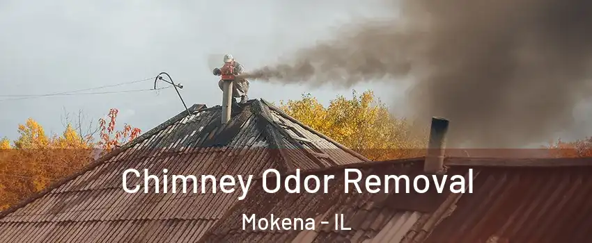  Chimney Odor Removal Mokena - IL