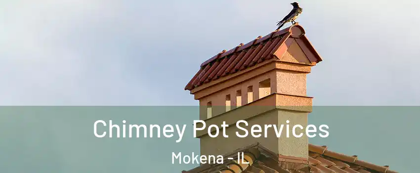  Chimney Pot Services Mokena - IL