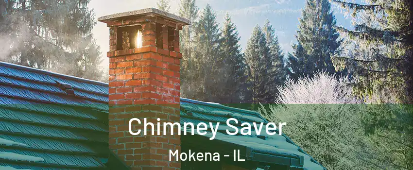  Chimney Saver Mokena - IL