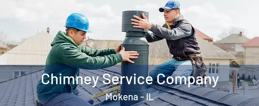  Chimney Service Company Mokena - IL