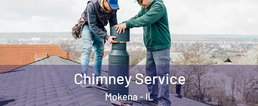  Chimney Service Mokena - IL