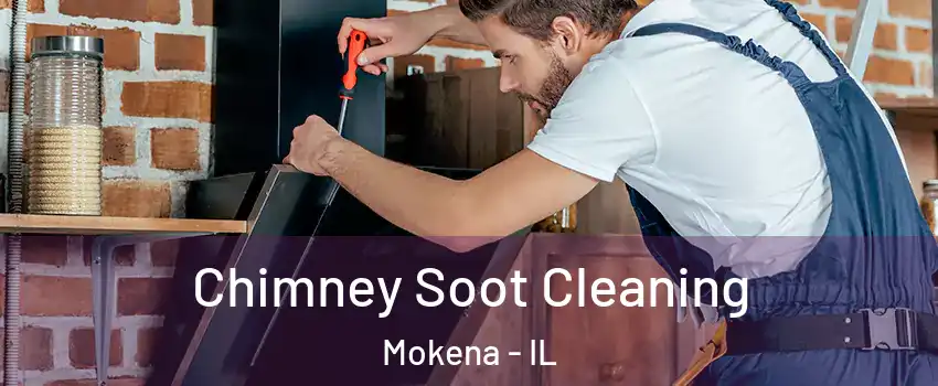  Chimney Soot Cleaning Mokena - IL