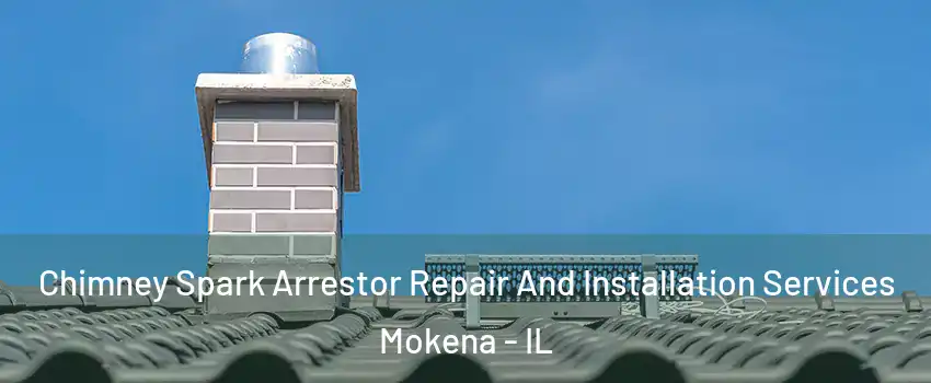  Chimney Spark Arrestor Repair And Installation Services Mokena - IL