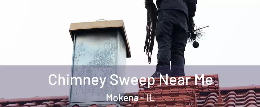  Chimney Sweep Near Me Mokena - IL