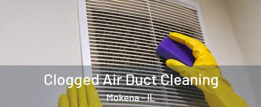  Clogged Air Duct Cleaning Mokena - IL