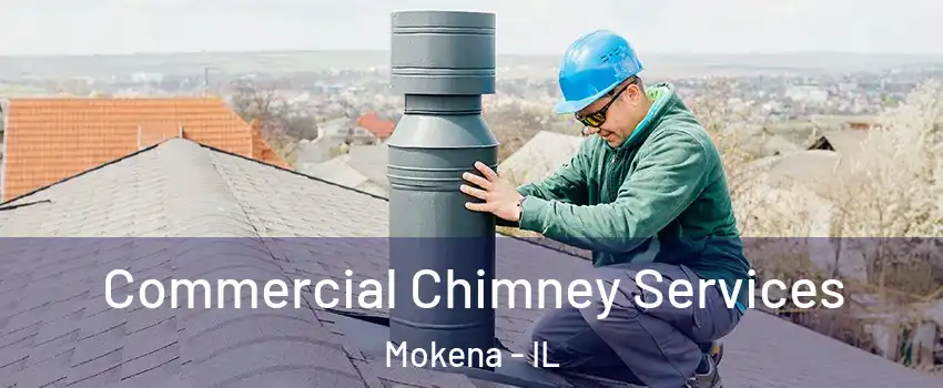  Commercial Chimney Services Mokena - IL