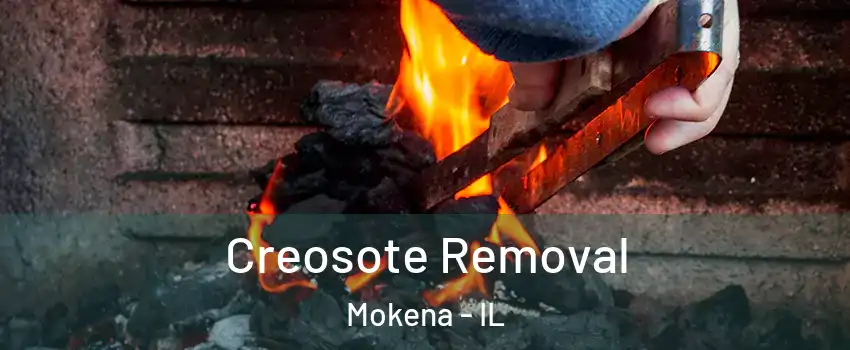  Creosote Removal Mokena - IL