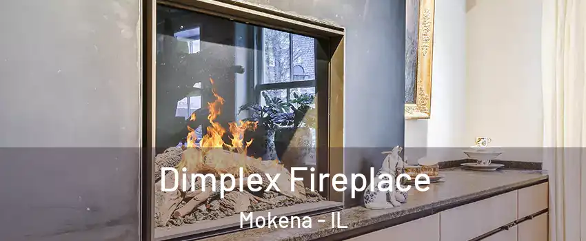  Dimplex Fireplace Mokena - IL