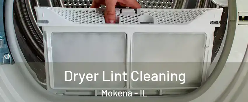  Dryer Lint Cleaning Mokena - IL
