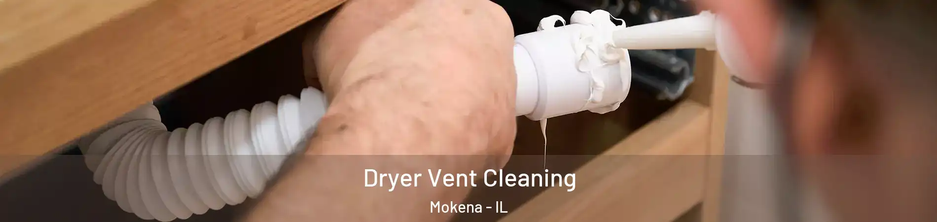  Dryer Vent Cleaning Mokena - IL