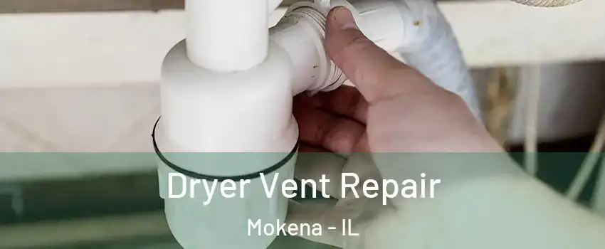  Dryer Vent Repair Mokena - IL