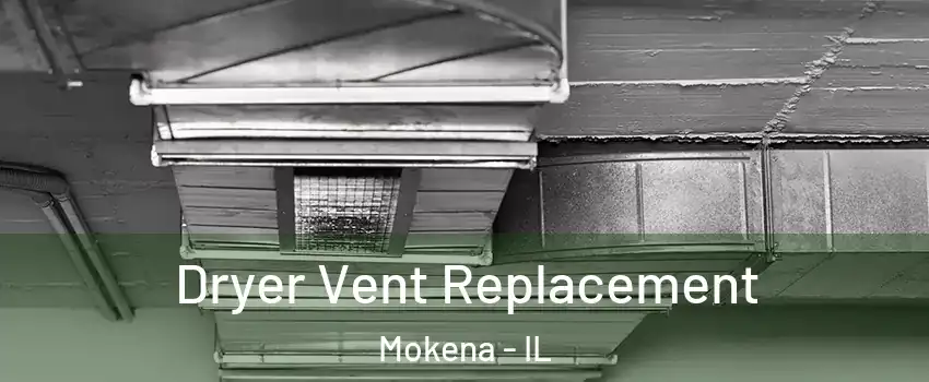  Dryer Vent Replacement Mokena - IL