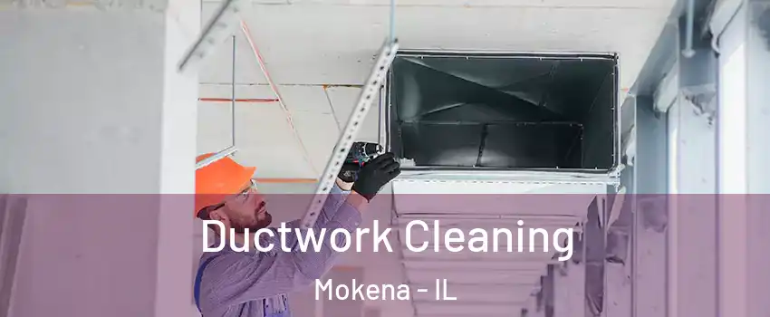  Ductwork Cleaning Mokena - IL