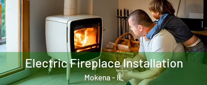  Electric Fireplace Installation Mokena - IL