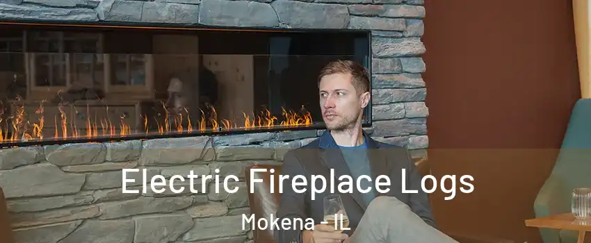  Electric Fireplace Logs Mokena - IL