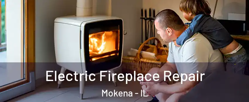  Electric Fireplace Repair Mokena - IL