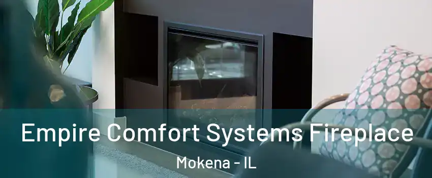  Empire Comfort Systems Fireplace Mokena - IL