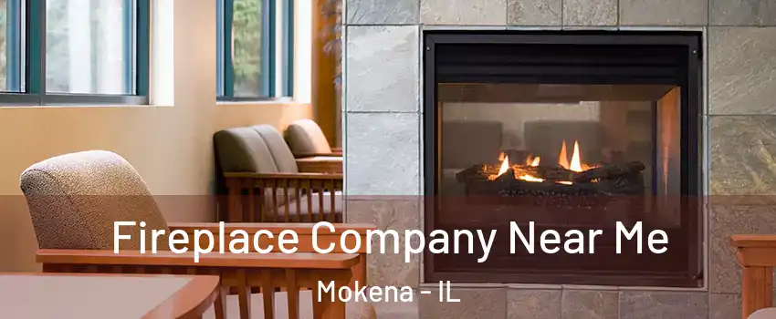  Fireplace Company Near Me Mokena - IL