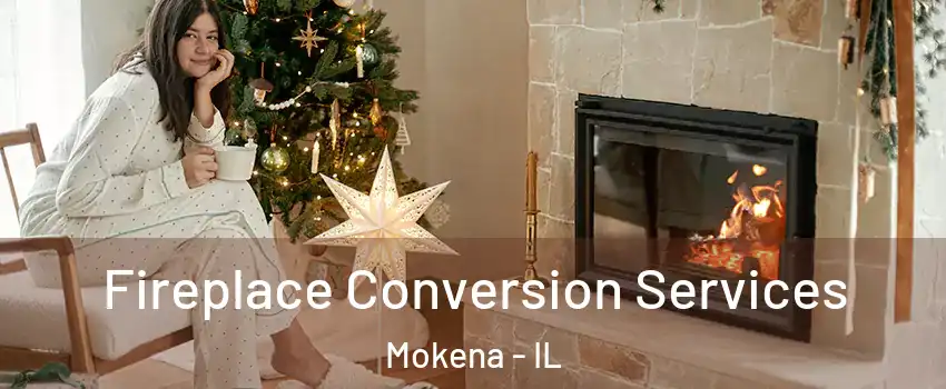  Fireplace Conversion Services Mokena - IL