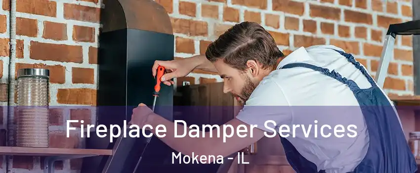  Fireplace Damper Services Mokena - IL