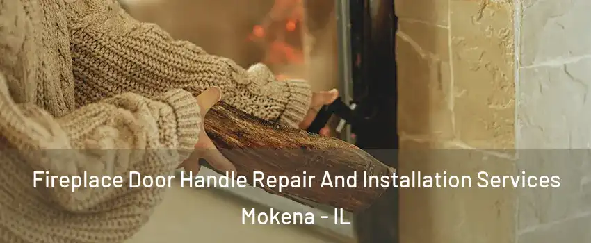  Fireplace Door Handle Repair And Installation Services Mokena - IL