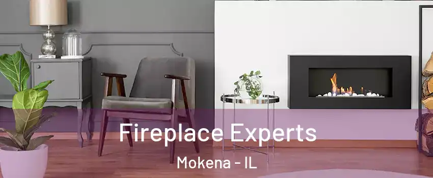  Fireplace Experts Mokena - IL