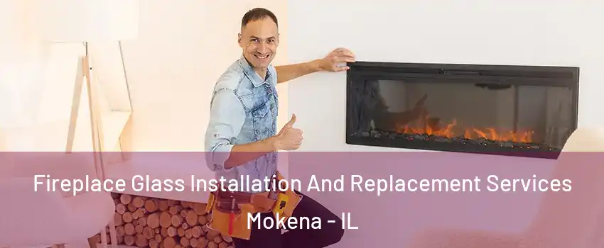  Fireplace Glass Installation And Replacement Services Mokena - IL