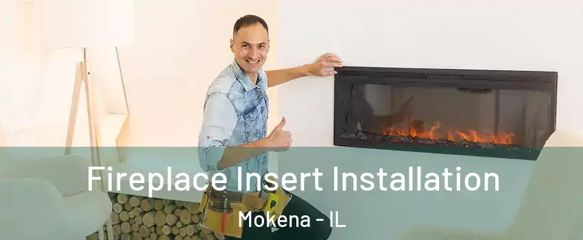  Fireplace Insert Installation Mokena - IL