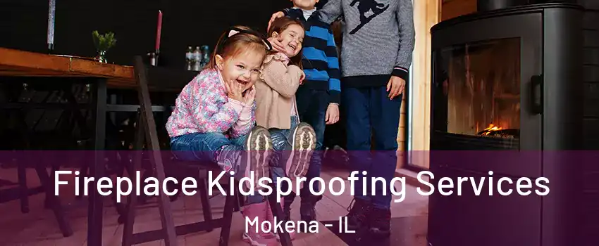 Fireplace Kidsproofing Services Mokena - IL