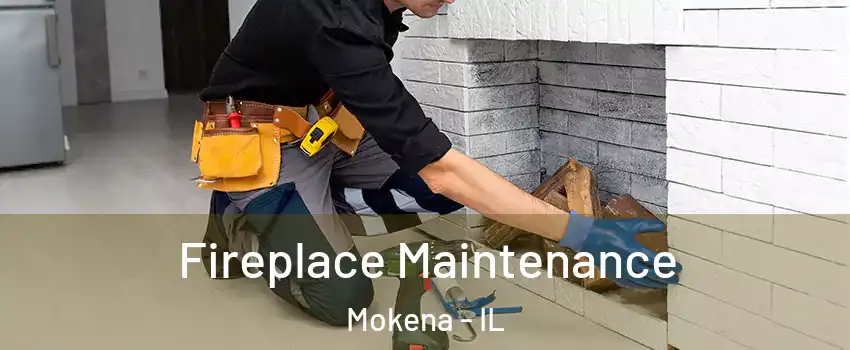  Fireplace Maintenance Mokena - IL