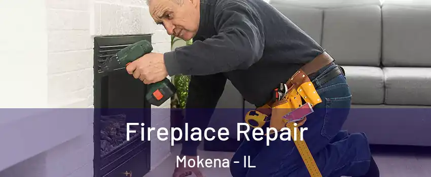  Fireplace Repair Mokena - IL