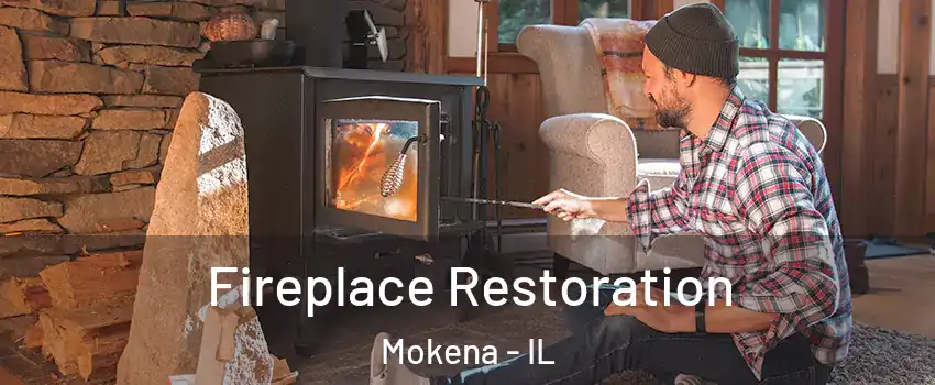  Fireplace Restoration Mokena - IL
