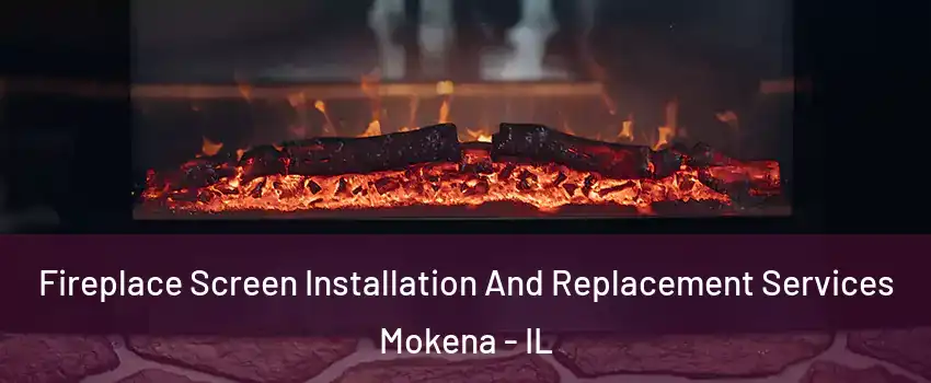  Fireplace Screen Installation And Replacement Services Mokena - IL