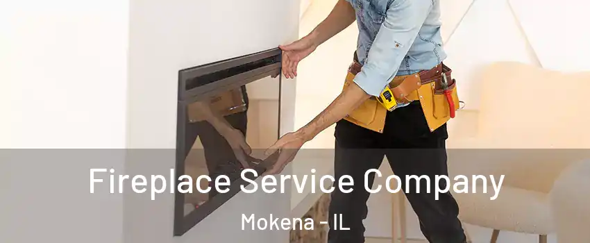  Fireplace Service Company Mokena - IL