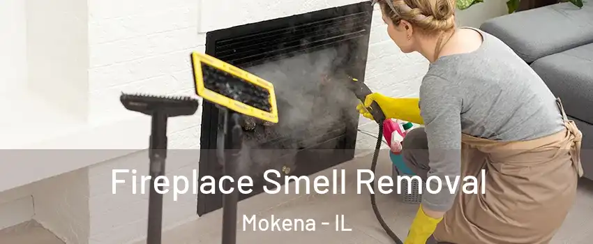  Fireplace Smell Removal Mokena - IL